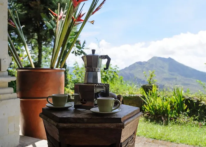 Backpackers @ Lakeview Kintamani