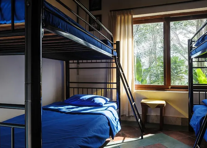 Backpackers @ Lakeview Kintamani