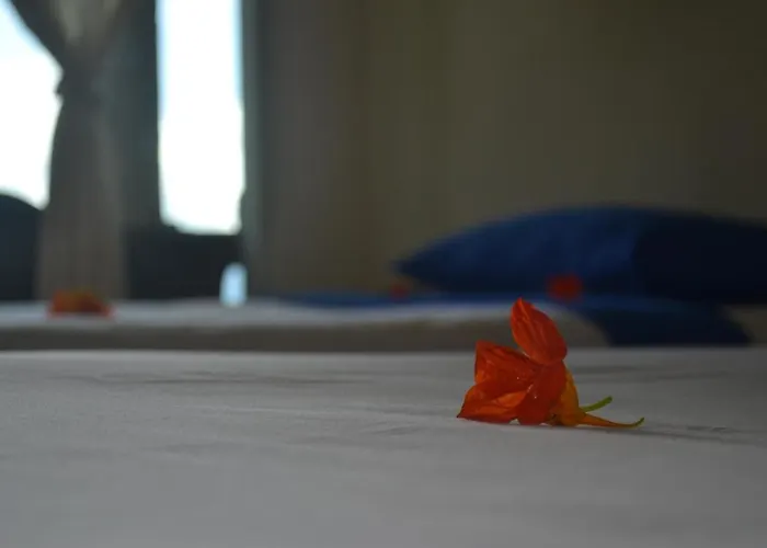 Backpackers @ Lakeview Hostal *
